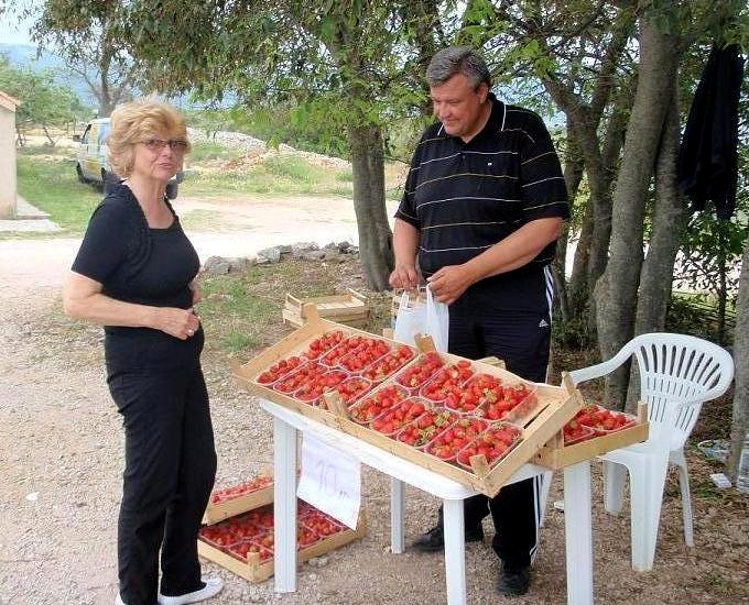 Kvarner: KRK auf Krk > Erdbeergroßmarkt