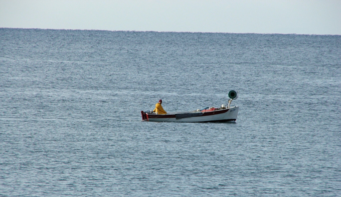 Istrien: VRSAR > Einsamer Fischer