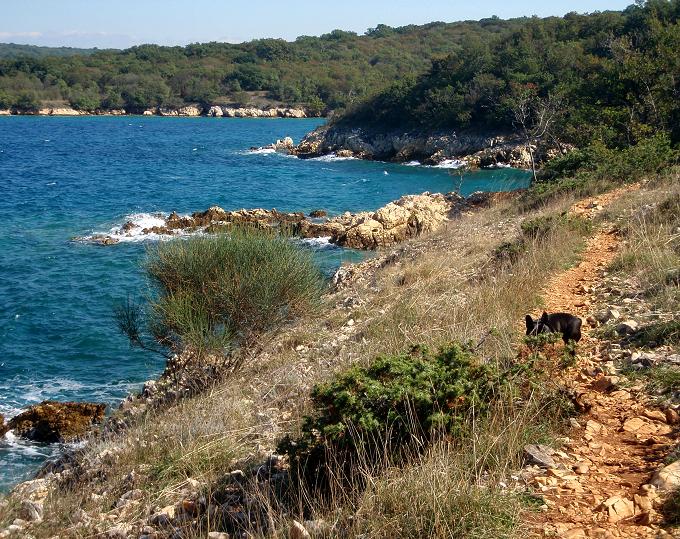 Kvarner: Insel KRK > An der Cavlena Bucht