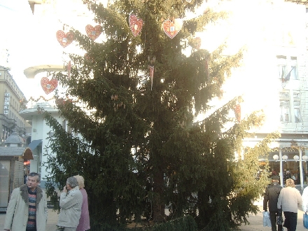 ZAGREB > Donji Grad > Platz Ban Jelacic - Weihnachtsbaum