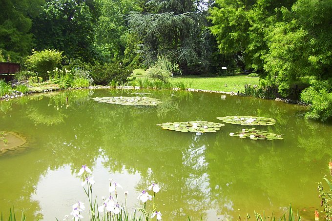 ZAGREB > Botanischer Garten