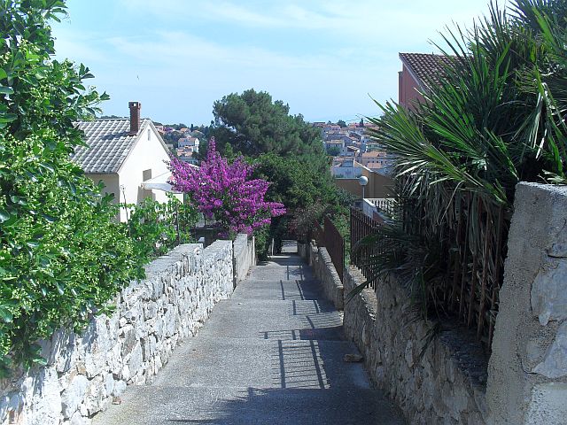 Mali_Losinj_15.7.2013_039.jpg