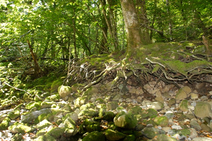 KUPA QUELLE > Wanderung entlang der Kupa 7