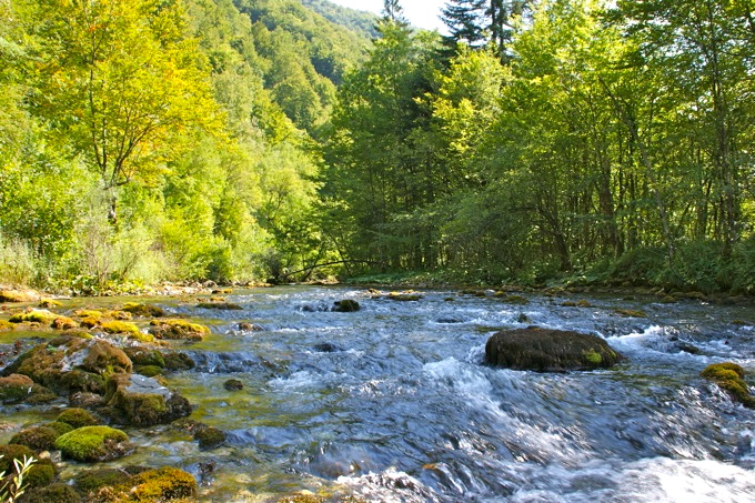 KUPA QUELLE > Wanderung entlang der Kupa 2