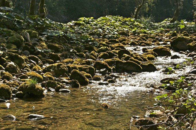 KUPA QUELLE > Wanderung entlang der Kupa 6