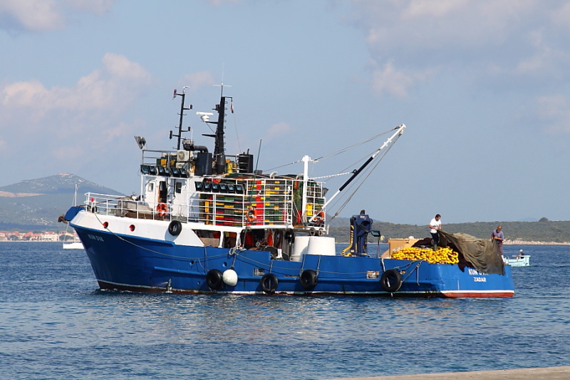 Dalmatien: BIOGRAD NA MORU > Fischkutter