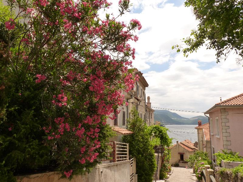 Kvarner: BAKAR > Altstadt am Hang