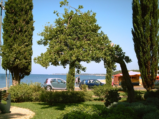 Umag in Istrien