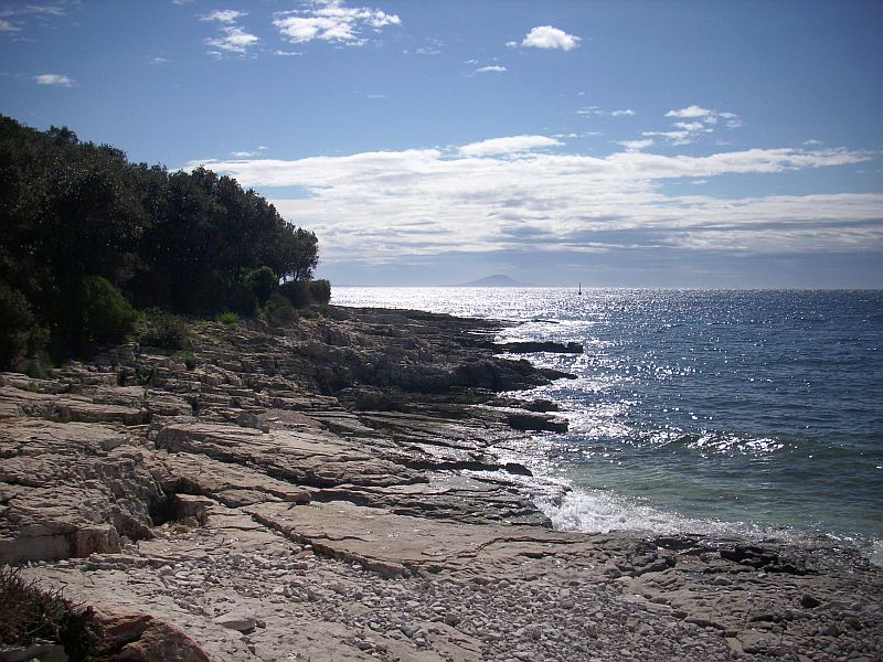 Istrien:DUGA UVALA>Strandspaziergang 2