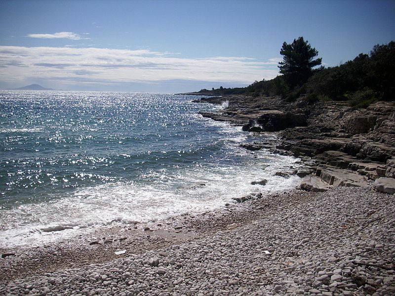 Istrien:DUGA UVALA>Strandspaziergang 5