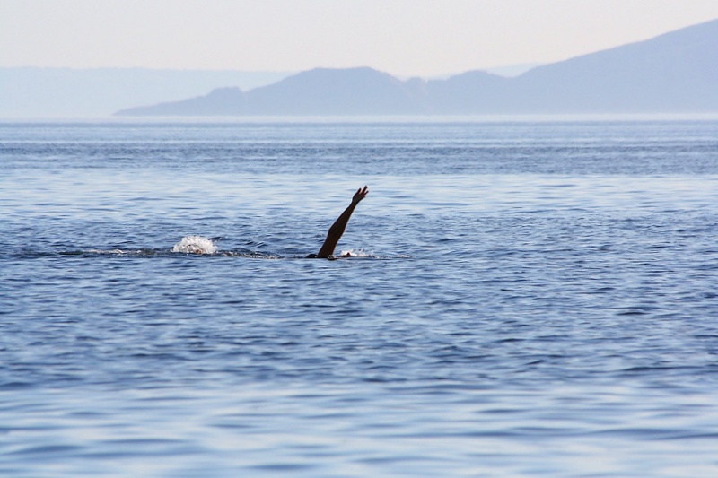 Kvarner: OMISALJ auf Krk > Rückenschwimmer(in)