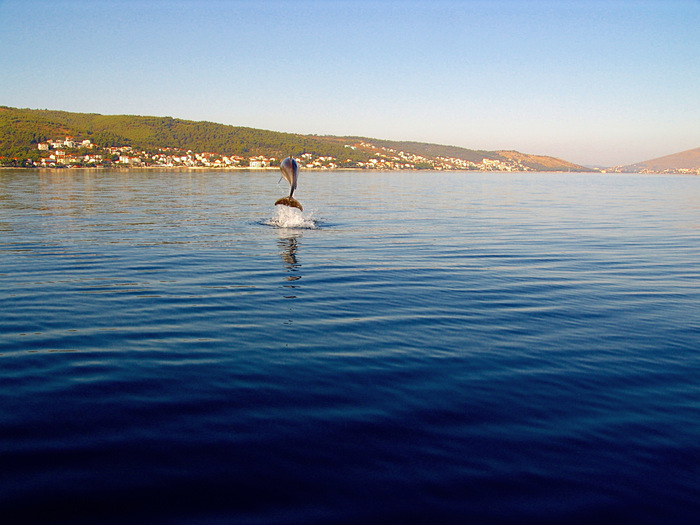 Delfin vor Kastell Stafilic