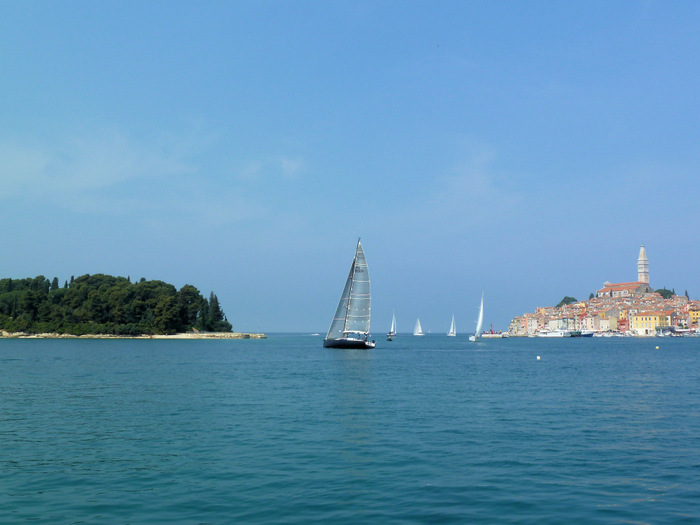 Segeln vor Rovinj