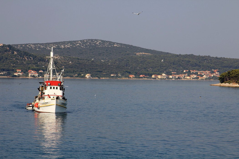 Dalmatien: BIOGRAD NA MORU > Fischerboot