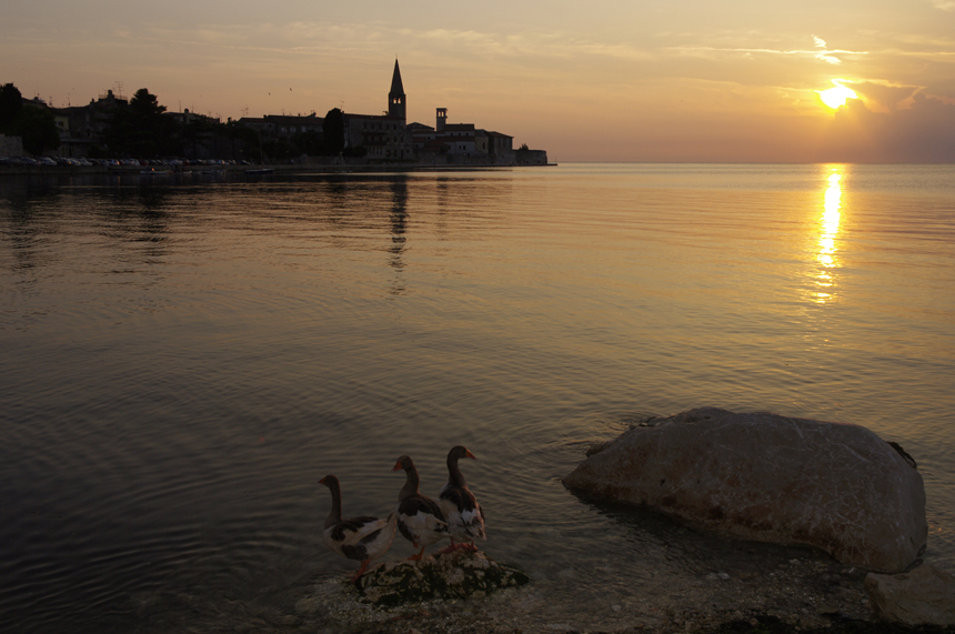 ISTRIEN POREC > Zuschauer