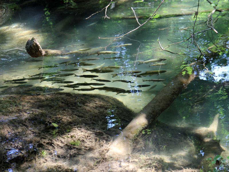 Landesinnere:SIBENIK> Nationalpark Krka