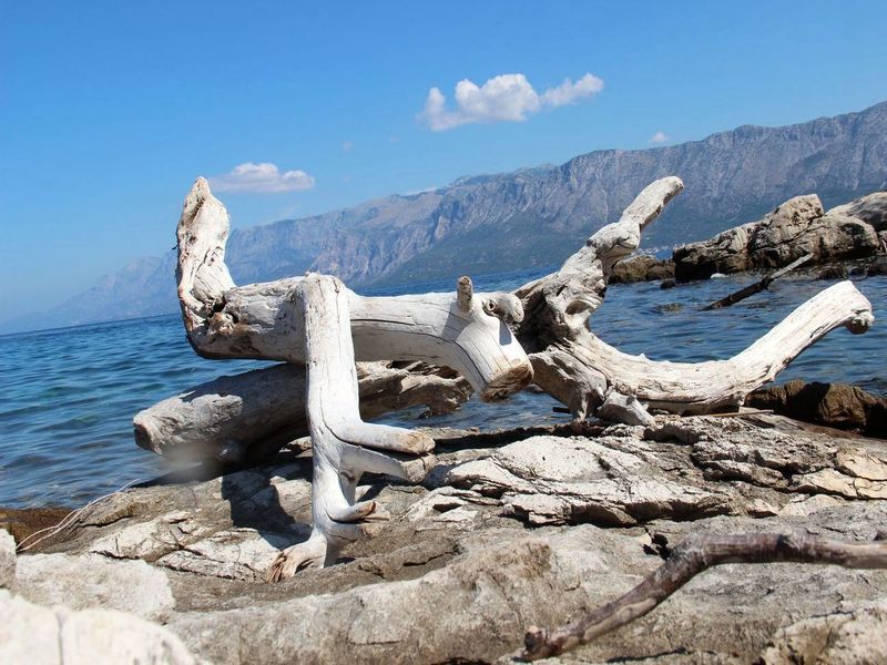 Dalmatien:HVAR> Camp Mlaska Nähe des Häfens Sućuraj