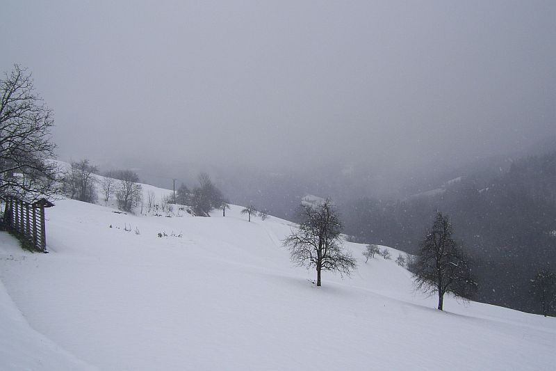 SLOWENIEN > Trojanepass > Krapfenwirt > Ausblick auf verschneite Landschaft