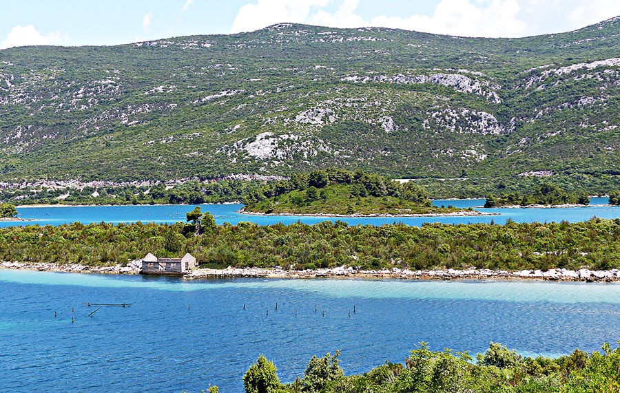 Süddalmatien> Küste von Peljesac