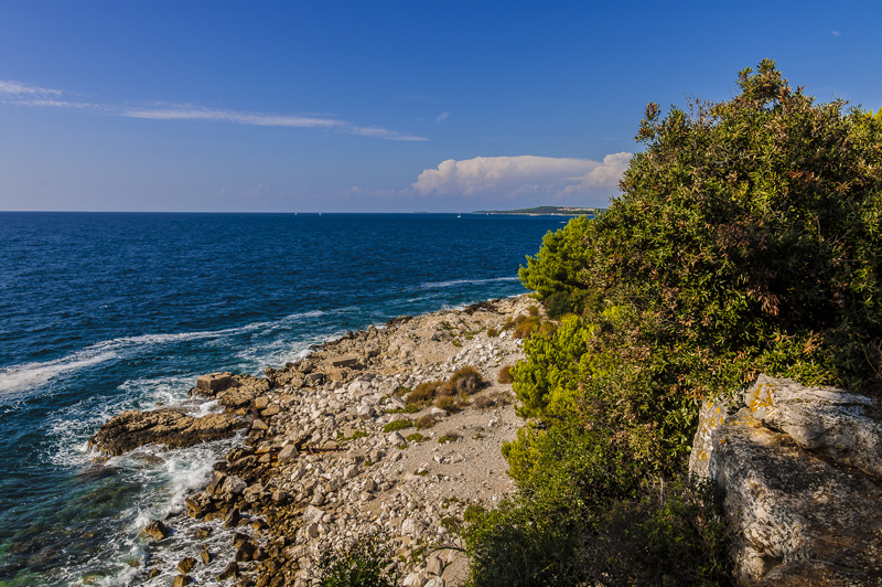 Istrien: Rovinj> Felsküste