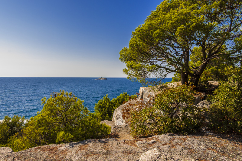 Istrien: Rovinj> Felsküste und Meer