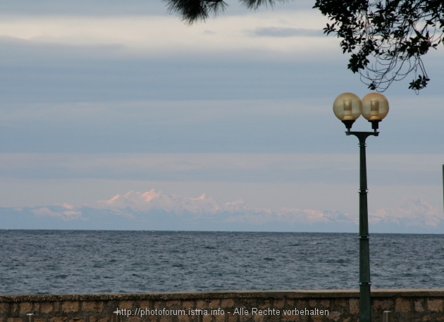 POREC > Blick auf die Alpenkette