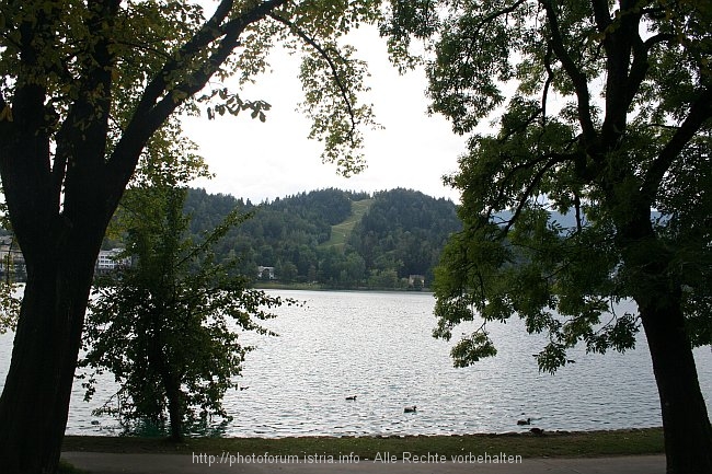 BLED AM SEE > Rodelbahn