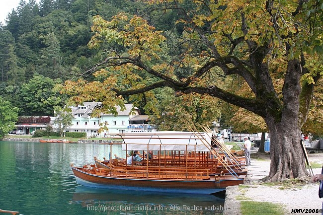 BLED AM SEE > Pletna = Schifferboote im Ortsteil Mlino