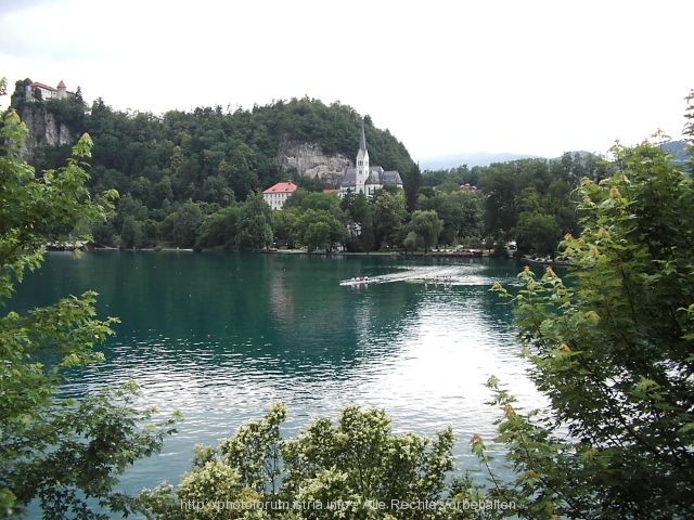 BLED AM SEE > Blejsko Jezero