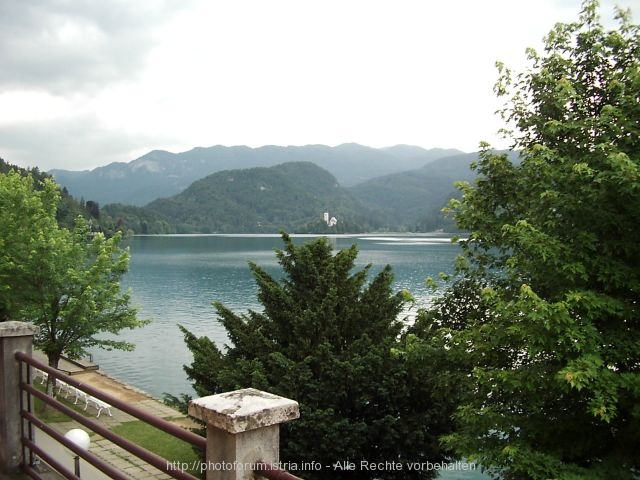 BLED AM SEE > Blejsko Jezero mit der Marieninsel