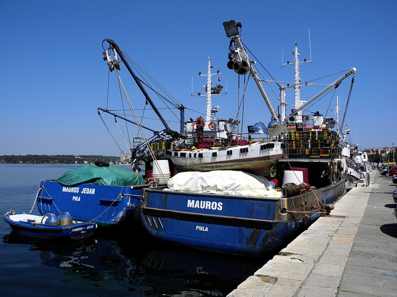 Istrien: PULA > Fischkutter