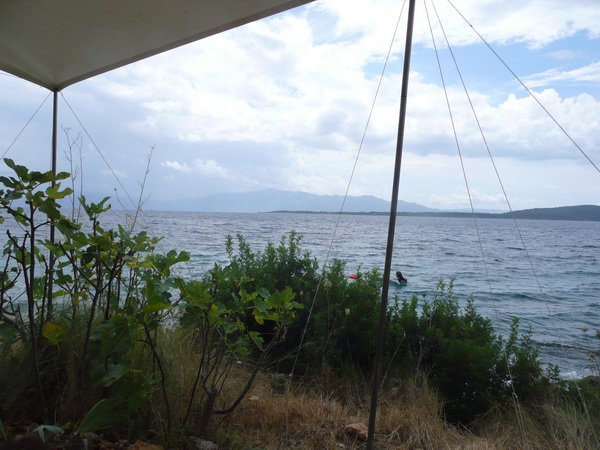 Dalmatien: ZIVOGOSCE>Camping Male Ciste - dem Meer so nah