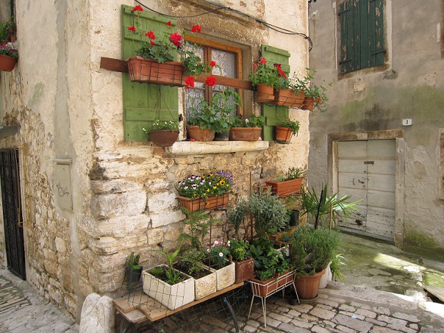Istrien:Rovinj>Blumenfenster in der Altstadt