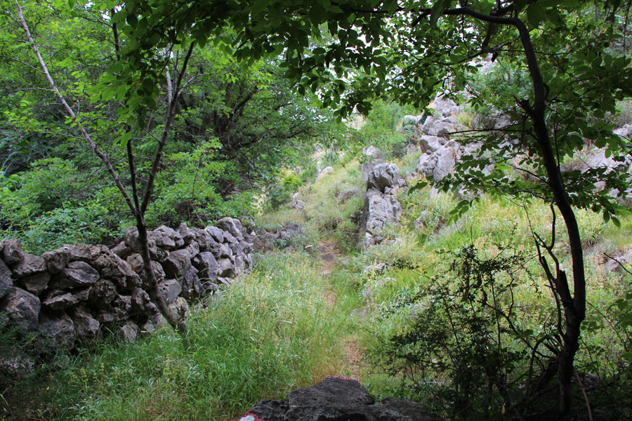 Kvarner: VRBNIK auf KRK > Wanderung in das Vogelschutzgebiet Glavina - Mala Luka