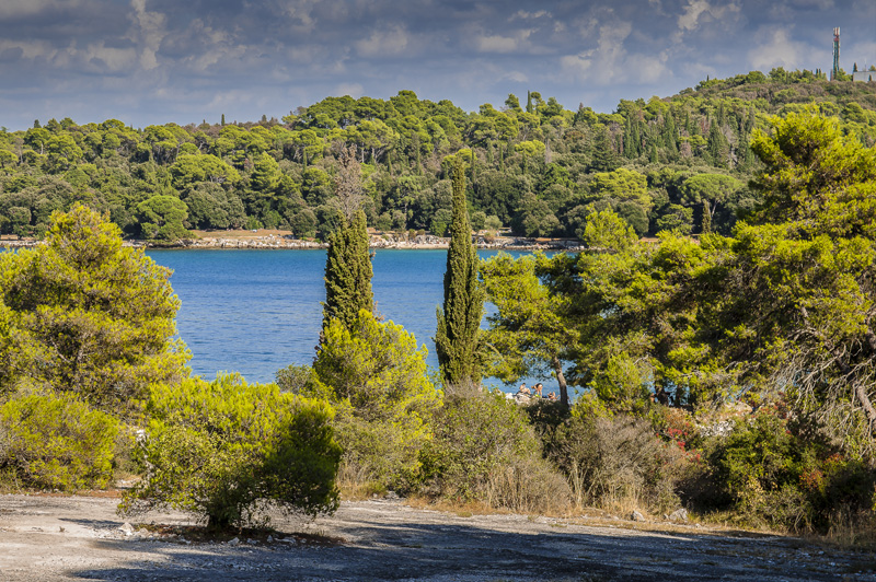 Istrien: ROVINJ> Blick auf die Bucht