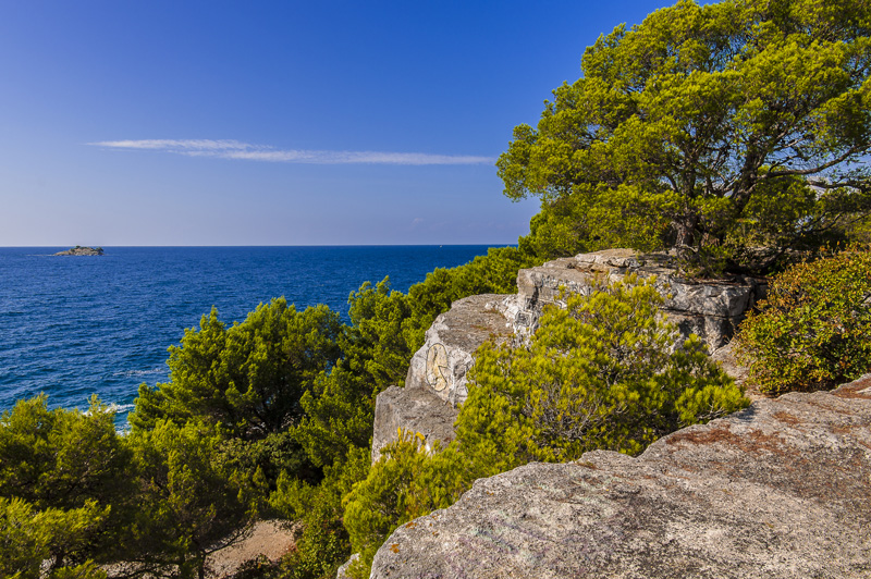 Istrien: ROVINJ> Steilküste