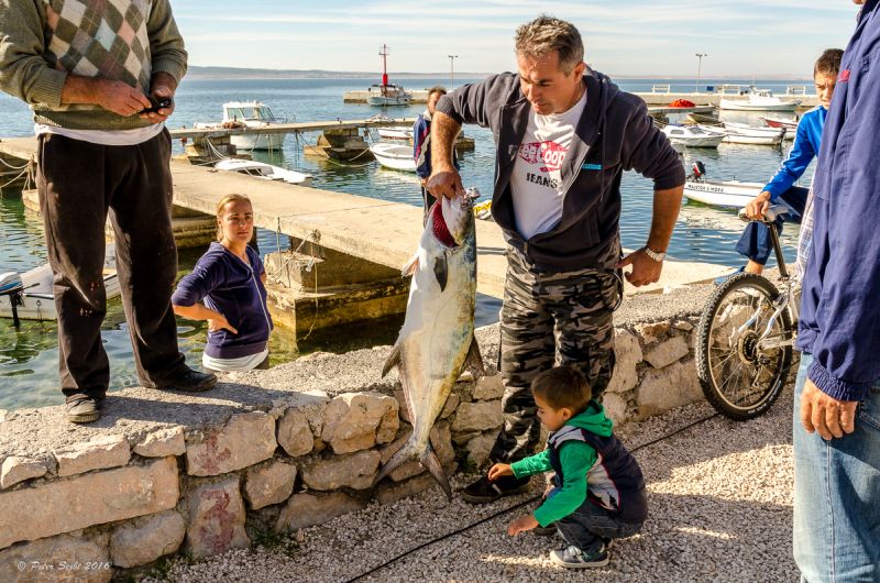 Kvarner: Starigrad > Paklenica