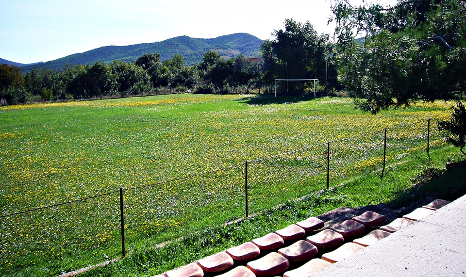 Dalmatien>Blumenwiese auf dem Fußballplatz