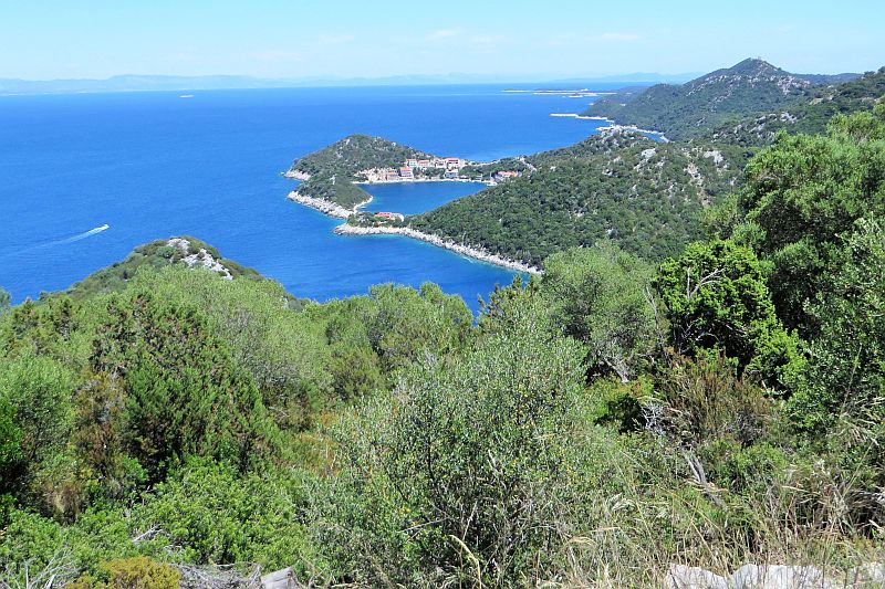 Dalmatien: INSEL LASTOVO > Küste bei Zaklopatica