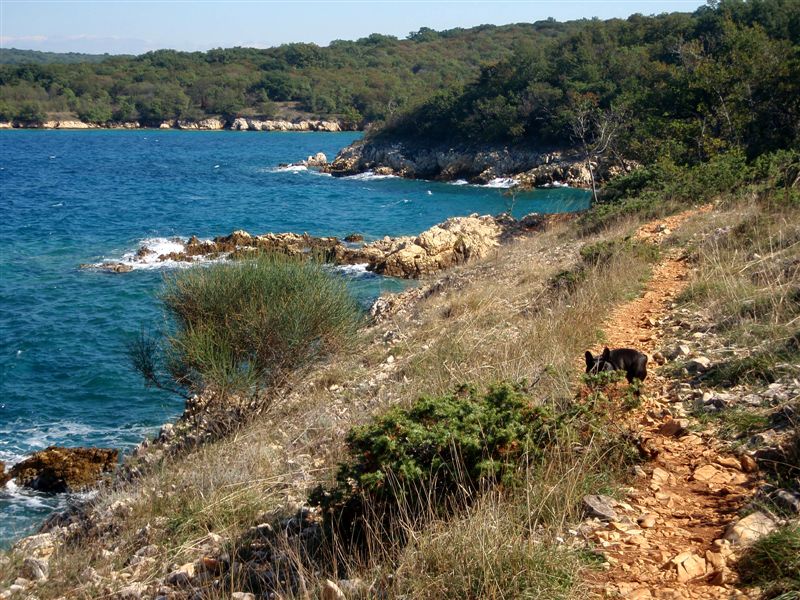 Kvarner: Otok/Krk > Naturküste bei Miliohnici