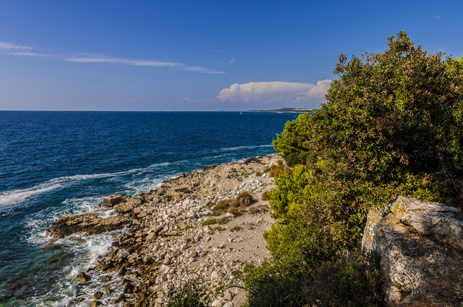 Istrien: ROVINJ> Steinküste