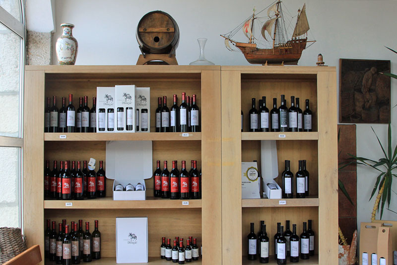 Dalmatien: POTOMJE auf Peljesac > Weinkauf