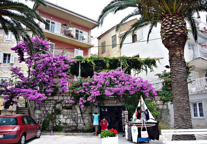 Dalmatien>Geschenkestand in Podgora