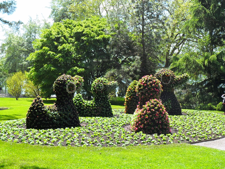 * Deutschland: INSEL MAINAU (Bodensee)