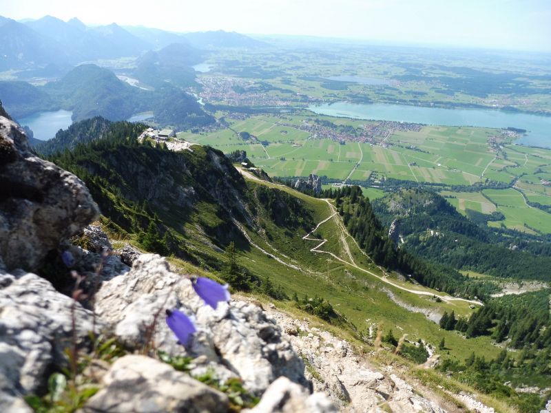 Neuschwanstein