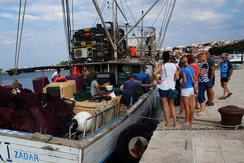 Dalmatien: NOVALJA > Fischverkauf