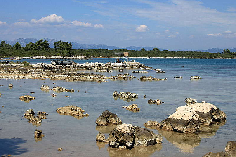 Dalmatien: DRACE auf Peljesac > Felsen im Meer