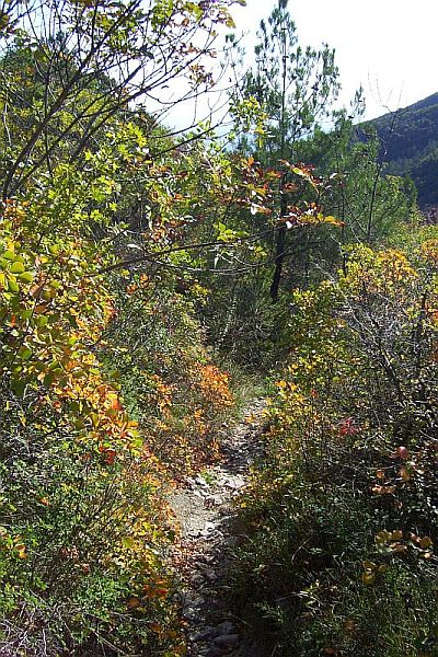 Istrien: RABAC > Wanderweg nach Labin im Herbst