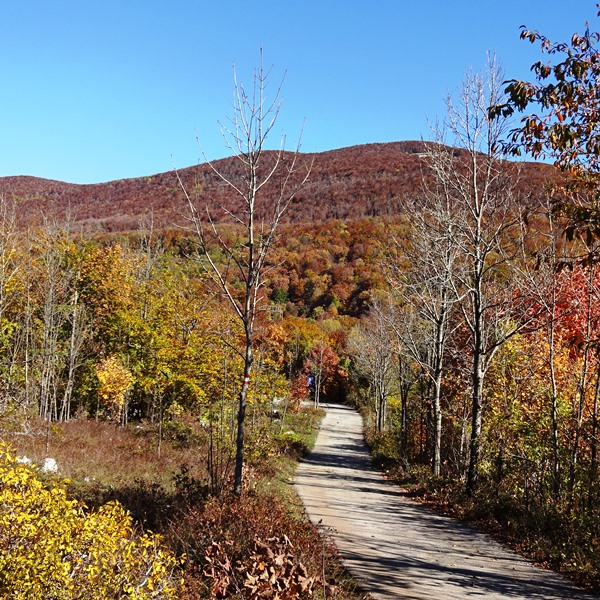 Kvarner: OMAR > Herbstfarben