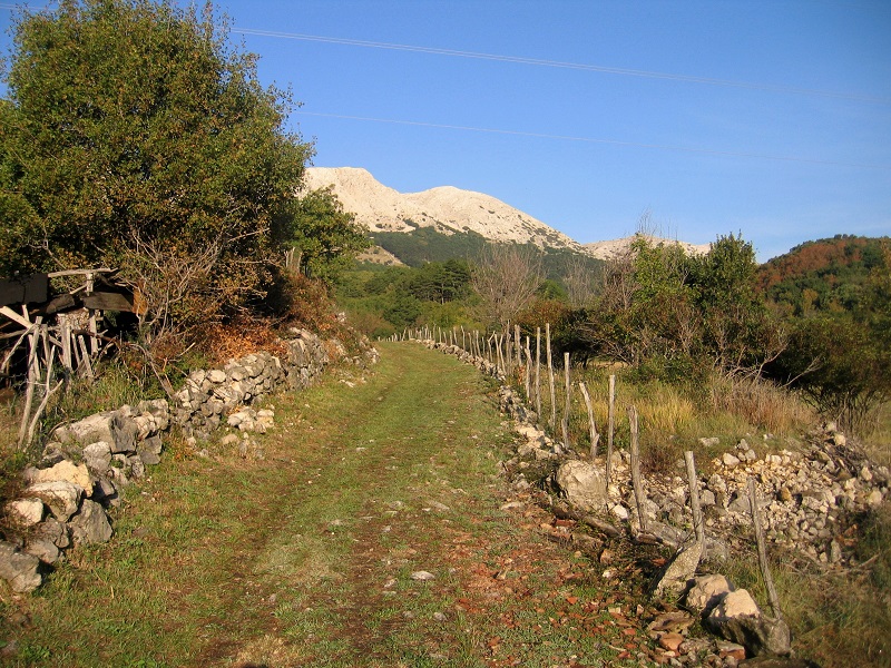 Kvarner: OTOK KRK > Herbstliche Wanderung im Bascanskatal